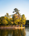 Cuadro Lago de Casa de Campo de Madrid nº01