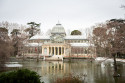 Cuadro del Palacio de Cristal del Retiro de Madrid nº01